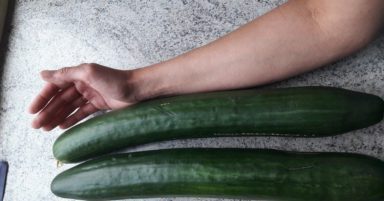 Arm mit Gurke