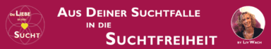 head_akademie_sucht
